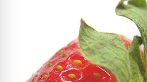 Winn-Dixie App Home Page