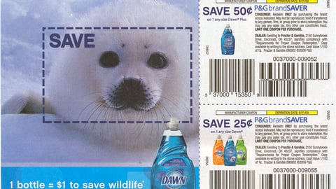 Dawn 'Save Wildlife' FSI