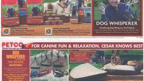 Petco Dog Whisperer Insert