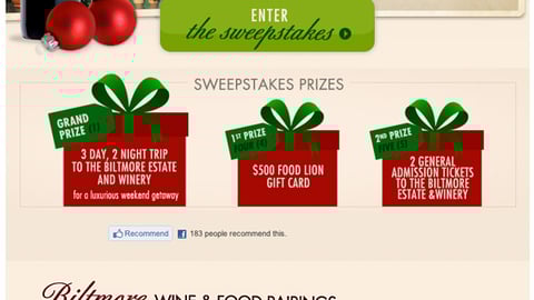 Food Lion 'Home for the Holidays' Online Ad