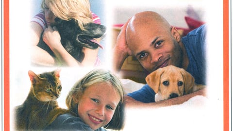 Hartz Animal Shelter FSI