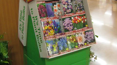 Holland's Finest Flower Bulb Shipper