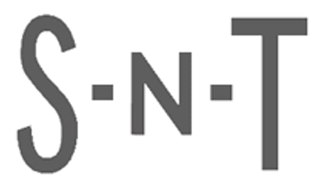 Linens 'n Things Logo