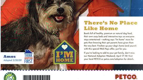 Petco 'I'm Home' Direct Mail Piece
