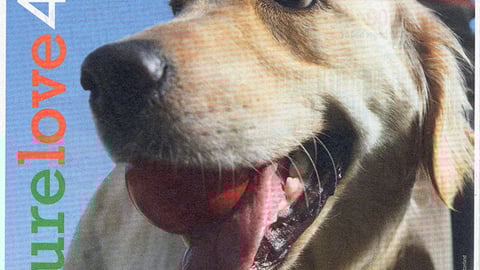 Purina 'Pet Health & Wellness' FSI