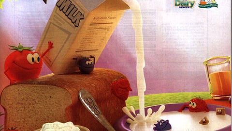 Safeway 'Summer Dairy Adventure' Recipe Book Cover