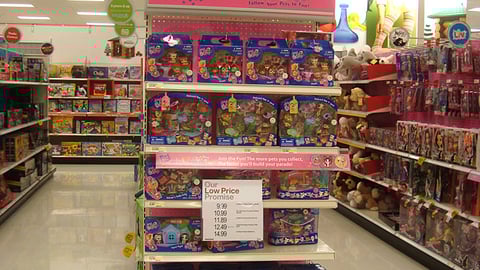 Hasbro Littlest Pet Shop Endcap