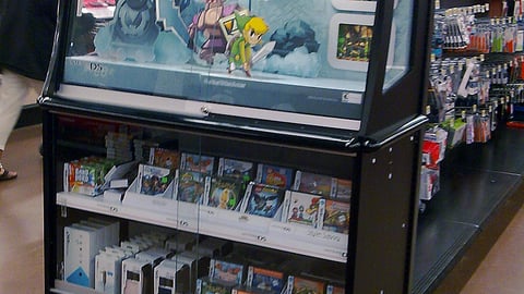 Nintendo DS Game Case