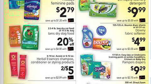 Winn-Dixie P&G Incentive Feature