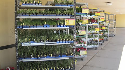Meijer Seedling Racks