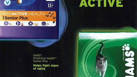 Iams 'Try Active' FSI