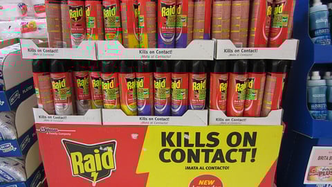 Raid Ant & Roach Pallet