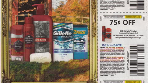 P&G 'Like A Masterpiece' FSI