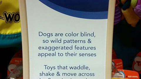 Toys "R" Us Pets PetSmart 'Designed to Excite' Framed Sign