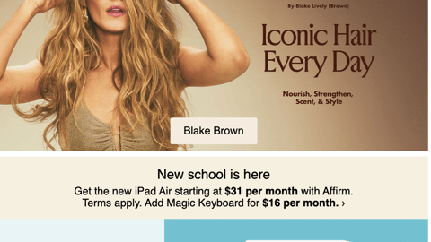 Target 'Blake Brown' Email