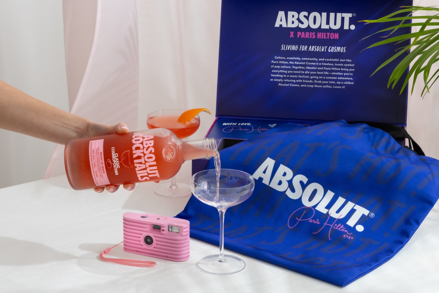 absolut coachella 2025