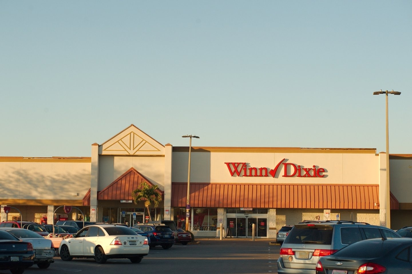 winn-dixie company