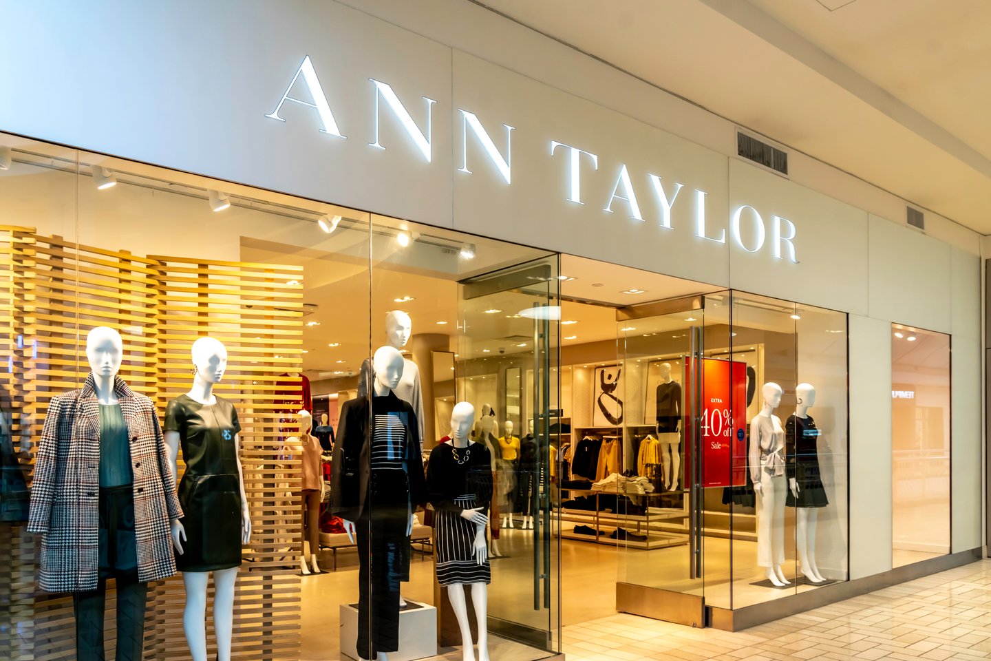 Ann Taylor