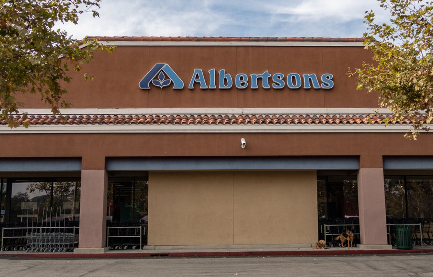 albertsons emily turner CMO