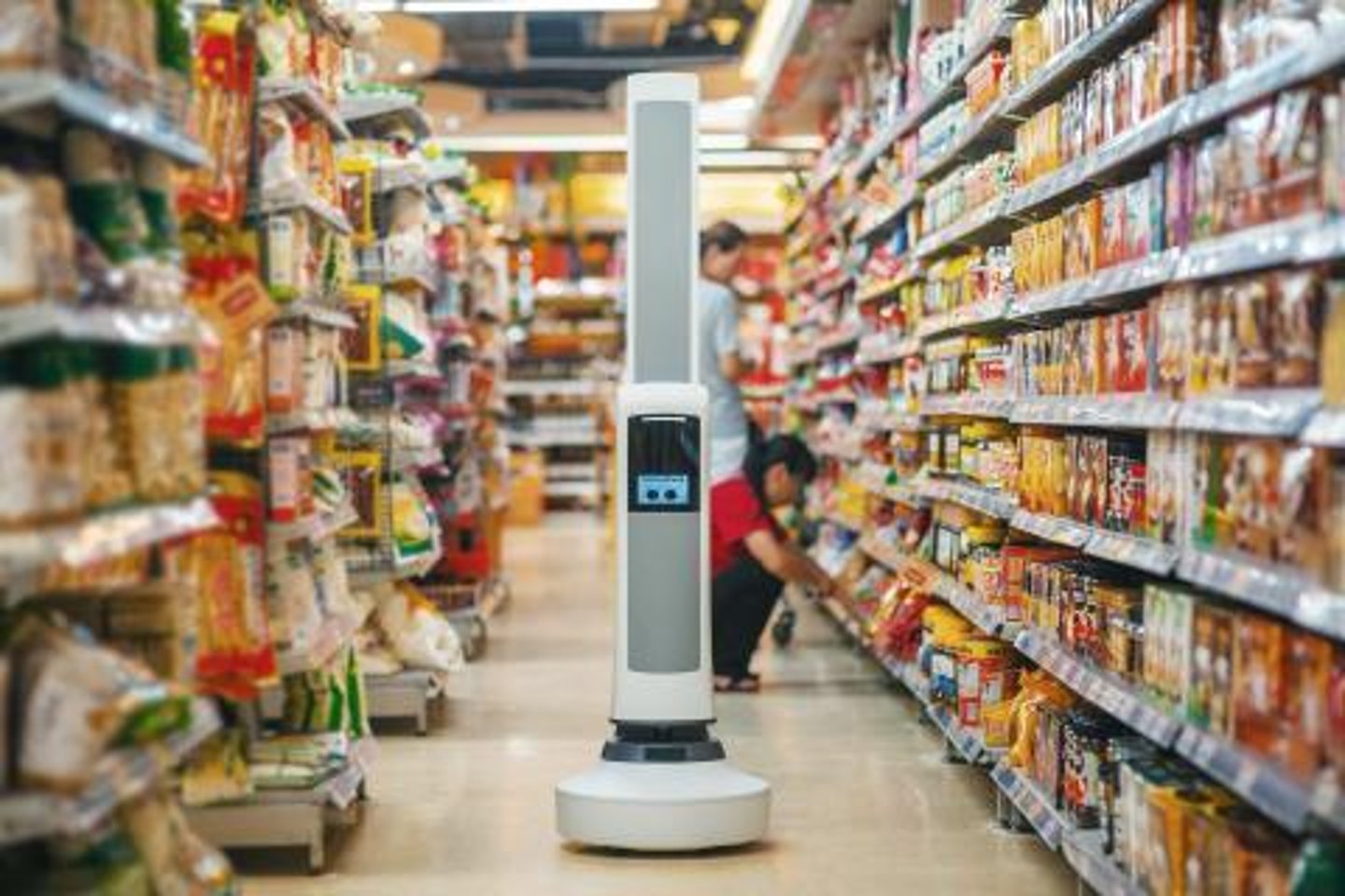 shoprite tally robot