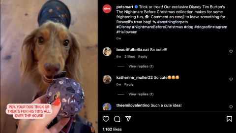 Petsmart treat bag discount