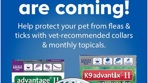 Petsmart advantix sales