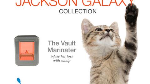 Petsmart jackson clearance galaxy