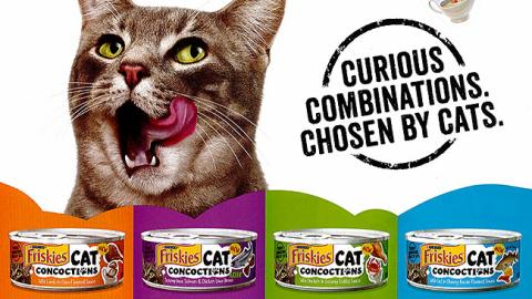 Friskies cat cheap concoctions