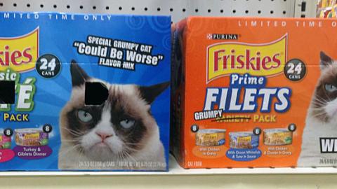 Petsmart friskies outlet pate