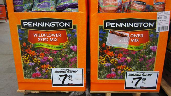 Pennington Wildflower Garden Mix