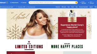 graphical user interface, text, website